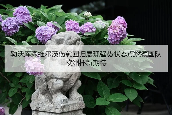勒沃库森维尔茨伤愈回归展现强势状态点燃德国队欧洲杯新期待