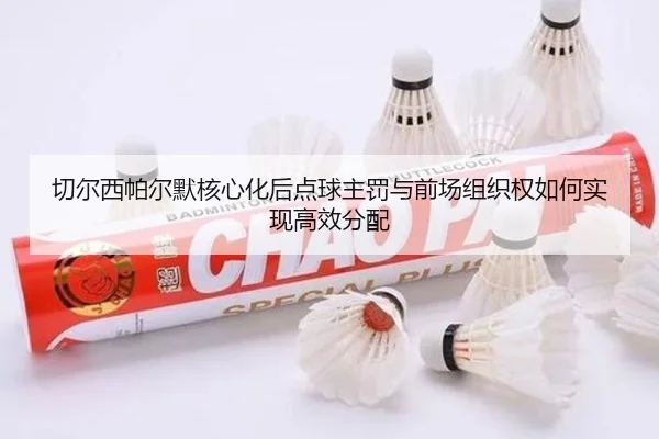 切尔西帕尔默核心化后点球主罚与前场组织权如何实现高效分配