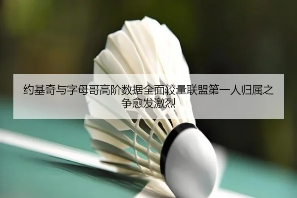 约基奇与字母哥高阶数据全面较量联盟第一人归属之争愈发激烈